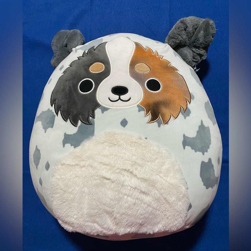 2023 Squishmallows Raylor The Australian Shepard 16" NWT